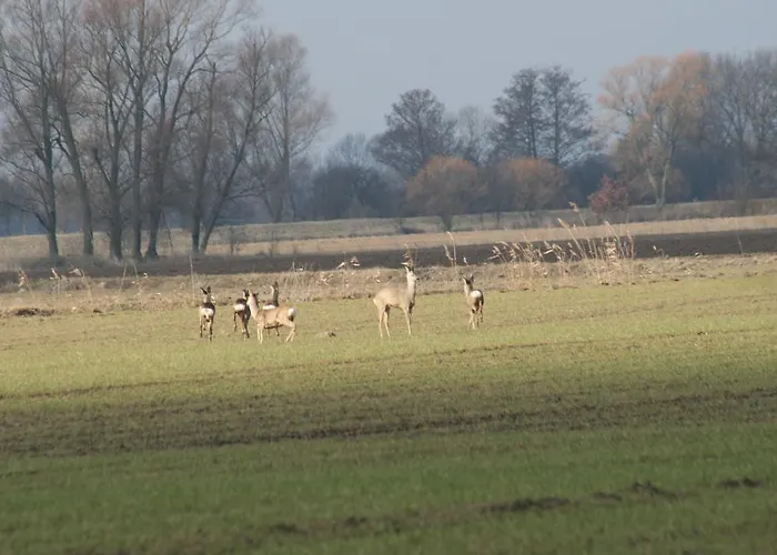 Дом отдыха Casa Mia Xix-w Nadmorski Dom Z Ogrodem