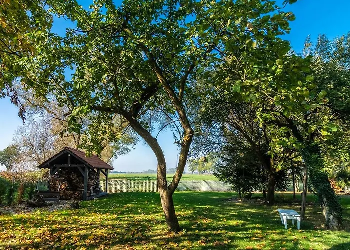 Casa Mia Xix-w Nadmorski Dom Z Ogrodem Дом отдыха *