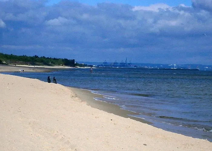 Casa Mia Xix-w Nadmorski Dom Z Ogrodem * Cedry Male